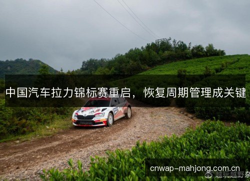 中国汽车拉力锦标赛重启，恢复周期管理成关键